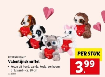 Valentijnsknuffel