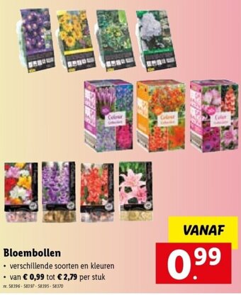 Lidl Bloembollen aanbieding