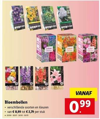 Lidl Bloembollen aanbieding