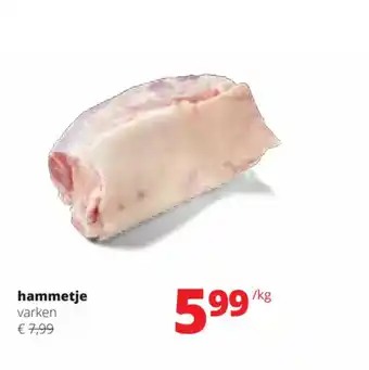Hammetje varken