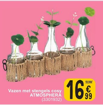 Vazen met stengels cosy atmosphera