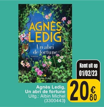 Cora Agnes ledig, un abri de fortune aanbieding