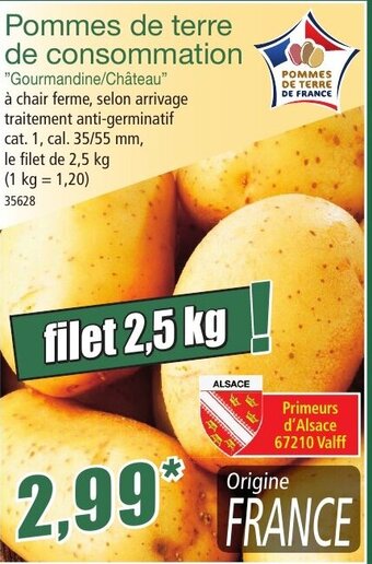 Pommes de terre de consommation