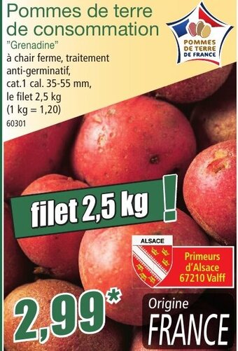 Norma Pommes de terre de consommation aanbieding
