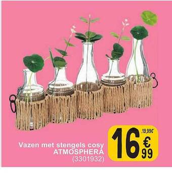 Cora Vazen met stengels cosy atmosphera aanbieding