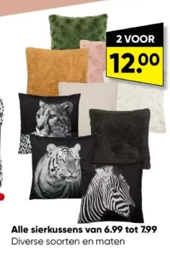 Big Bazar Alle sierkussens aanbieding