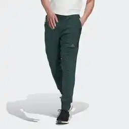Adidas winter 4cmte pants