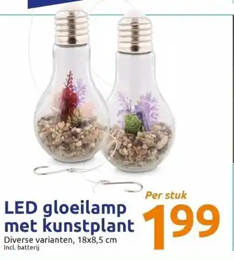 LED gloeilamp met kunstplant