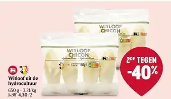 Delhaize Witloof uit de hydrocultuur aanbieding