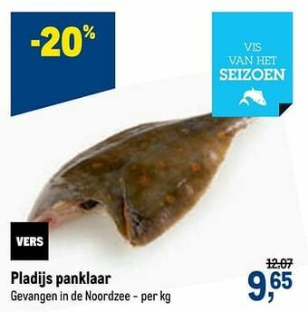 Pladijs panklaar