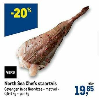 North sea chefs staartvis