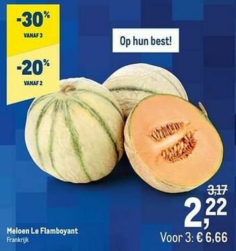 Meloen le flamboyant