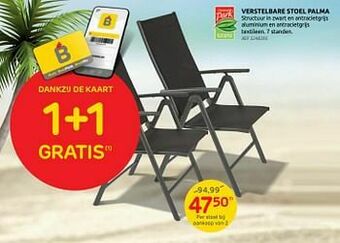 Brico Verstelbare stoel palma aanbieding