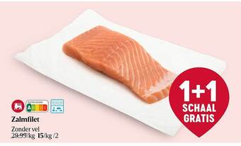 Zalmfilet