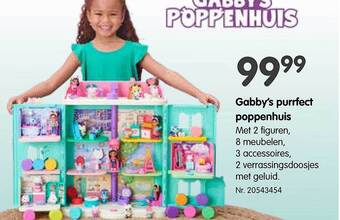 Gabby's purrfect poppenhuis
