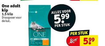 One Adult Kip 1.5 Kilo