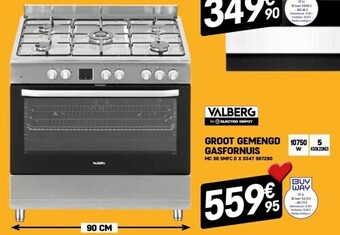 Groot gemengd gasfornuis