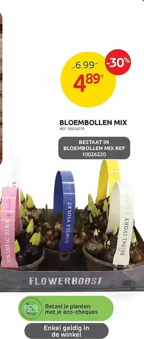 Bloembollen mix