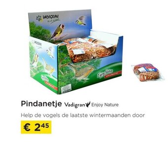 Vadigran pindanetje enjoy nature