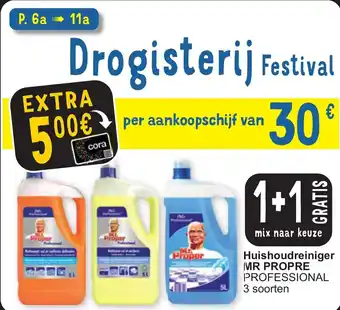 Cora Huishoudreiniger mr propre prfessional aanbieding