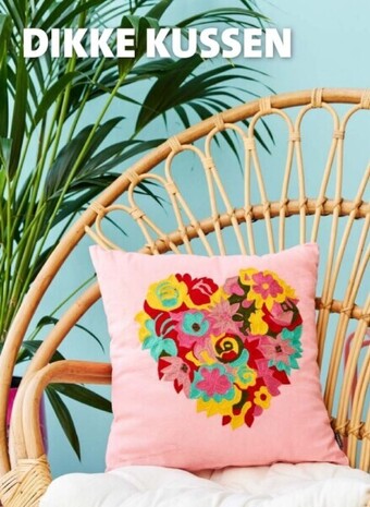 Intratuin Kussen goa aanbieding