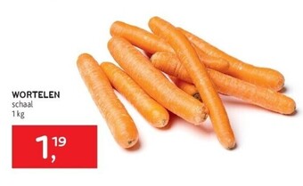 Alvo Wortelen schaal 1 kg aanbieding