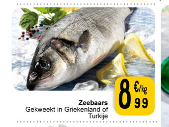 Cora Zeebaars aanbieding
