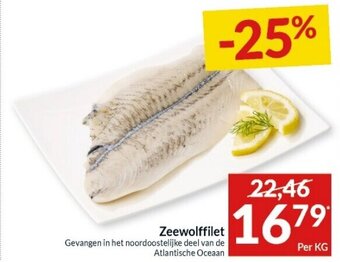 Zeewolffilet