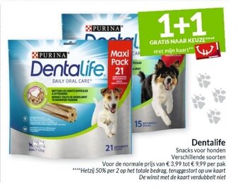 Dentalife