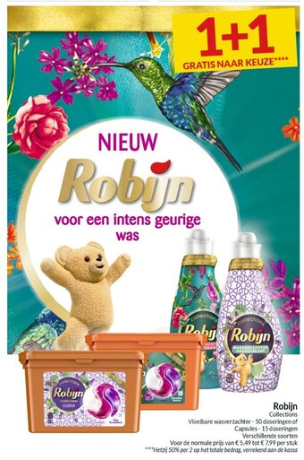 Robijn