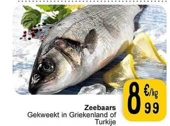 Cora Zeebaars aanbieding