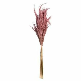 Kwantum Pluim Roze Roze aanbieding