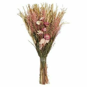 Kwantum Droogboeket Tarnby Roze aanbieding