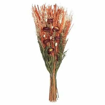 Kwantum Droogboeket Tarnby Terra aanbieding