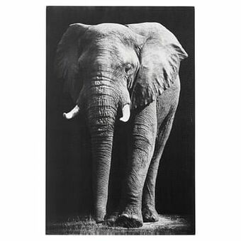 Canvas Olifant Grijs