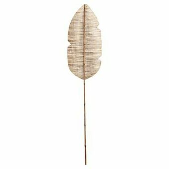 Palmblad Nature Bruin