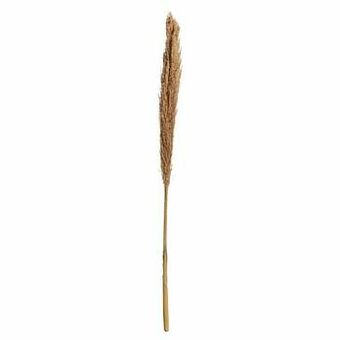 Kwantum Pluim Naturel Naturel aanbieding
