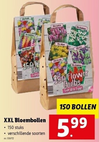Lidl Xxl bloembollen aanbieding