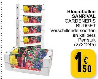 Bloembollen sanrival