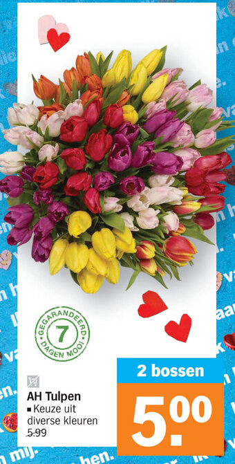 Albert Heijn Tulpen 2 bossen aanbieding
