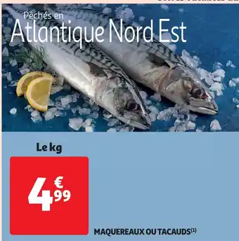 Auchan Maquereaux ou tacauds aanbieding