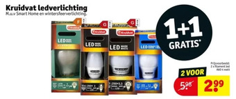 Kruidvat Kruidvat ledverlichting aanbieding