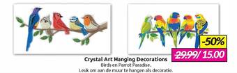 Boekenvoordeel Crystal art hanging decorations aanbieding