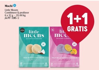 Mochi little moons