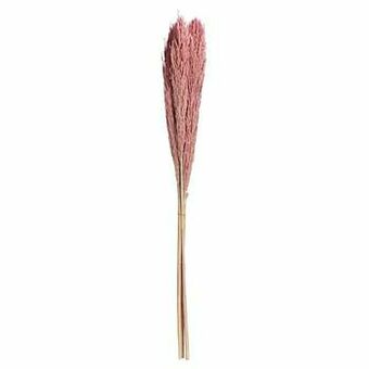 Kwantum Pluim 3 Stuks Roze aanbieding