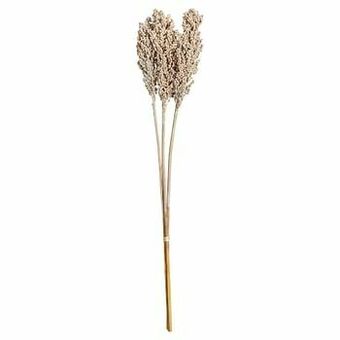 Kwantum Monobos Indian Corn White Wit aanbieding