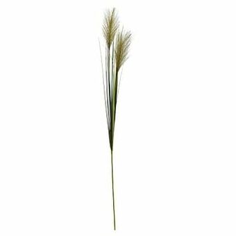 Kwantum Kunst Graspluim Groen 92 CM aanbieding