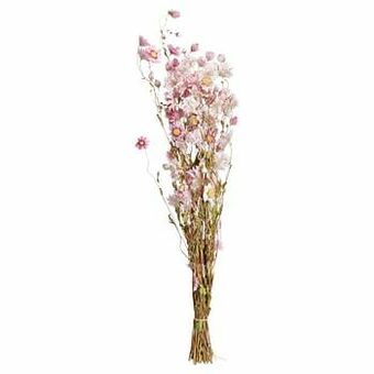 Kwantum Monobos Rodanthe Roze aanbieding