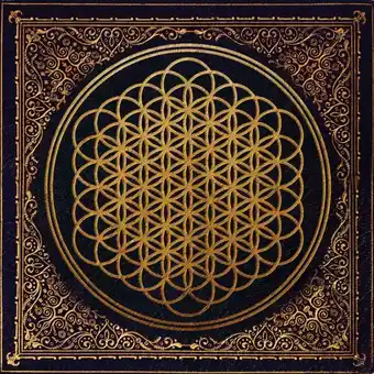Bol.com Sempiternal (lp) aanbieding