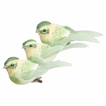 Vogel Op Clip Groen